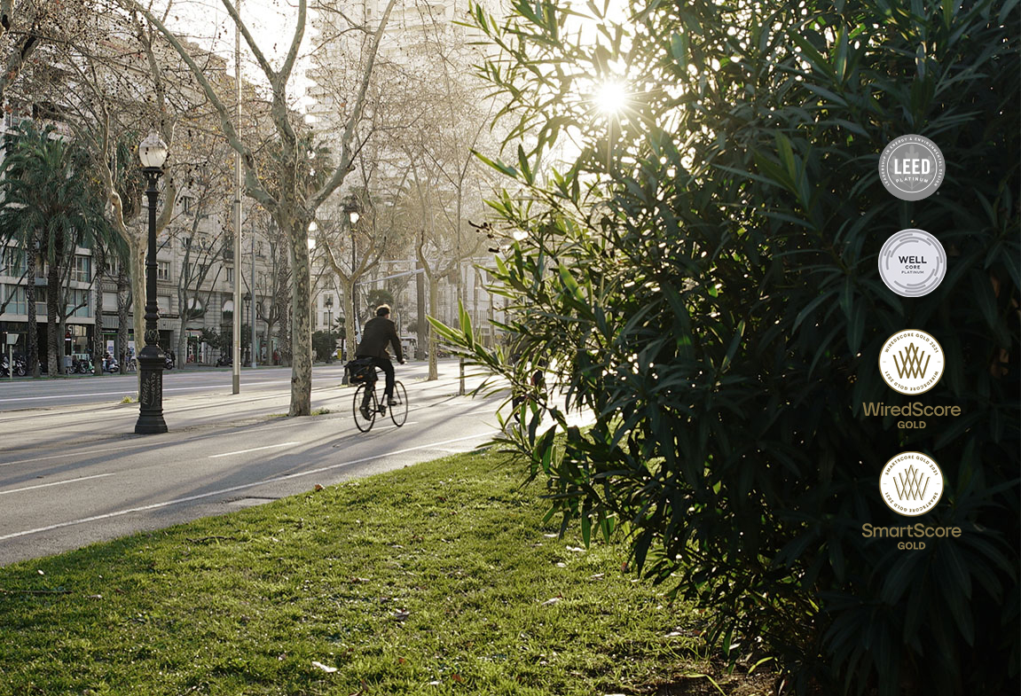 Diagonal Beethoven English